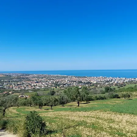 Colliwood * Sant'Omero