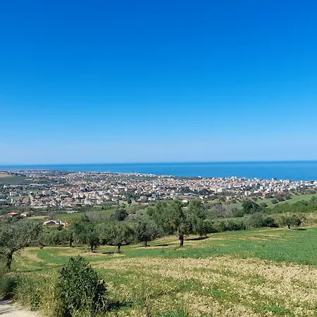 Colliwood * Sant'Omero