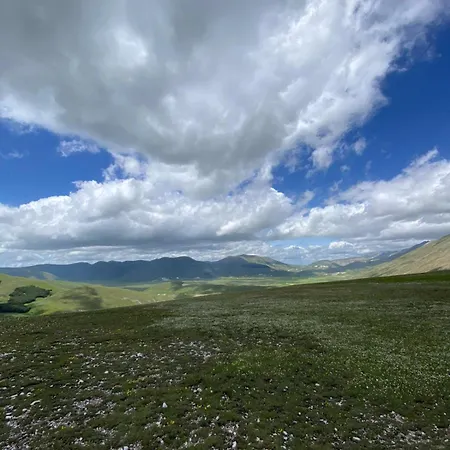 Appartement Colliwood