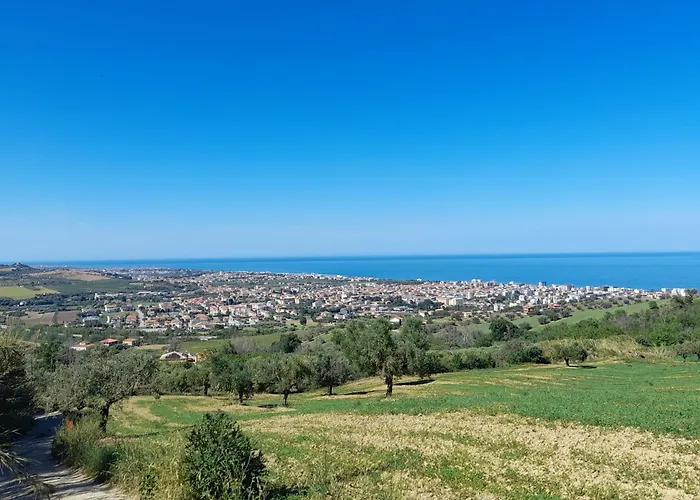 Colliwood * Sant'Omero