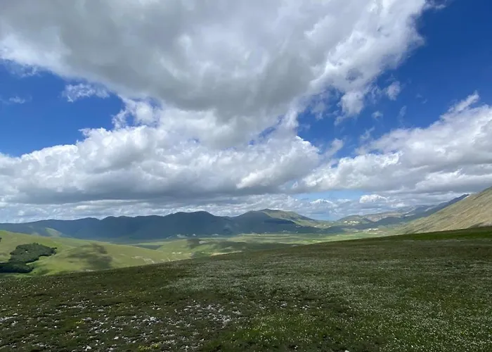 Апартаменты Colliwood